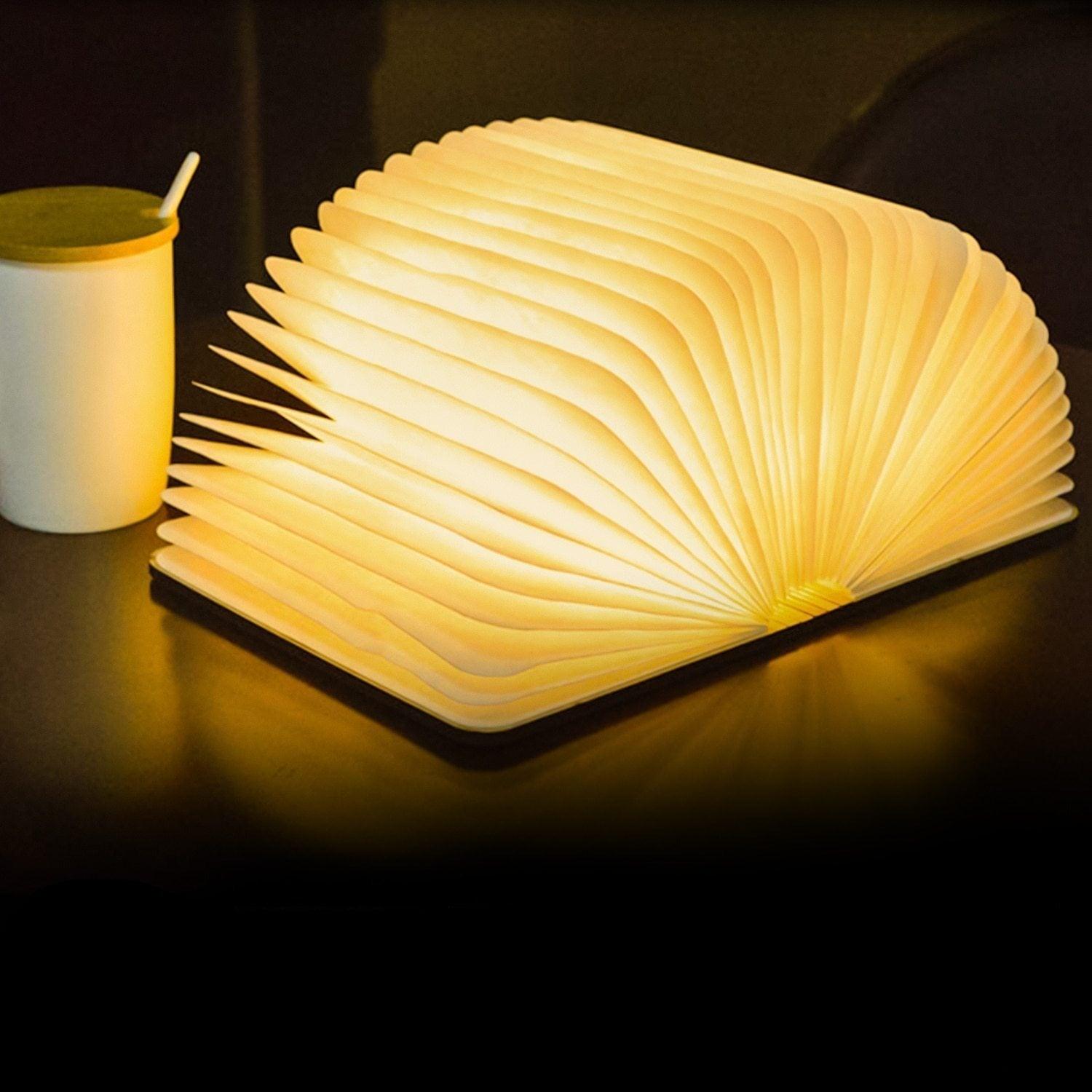 Book in Action Portable Light