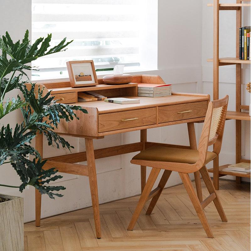 Dino Desk with Hutch
