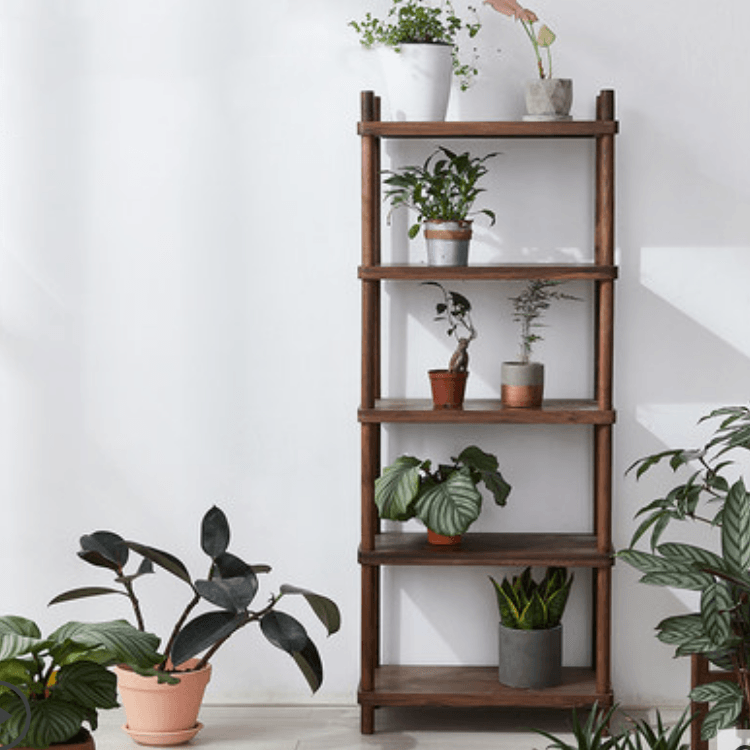 Erika Solid Wood Bookcase