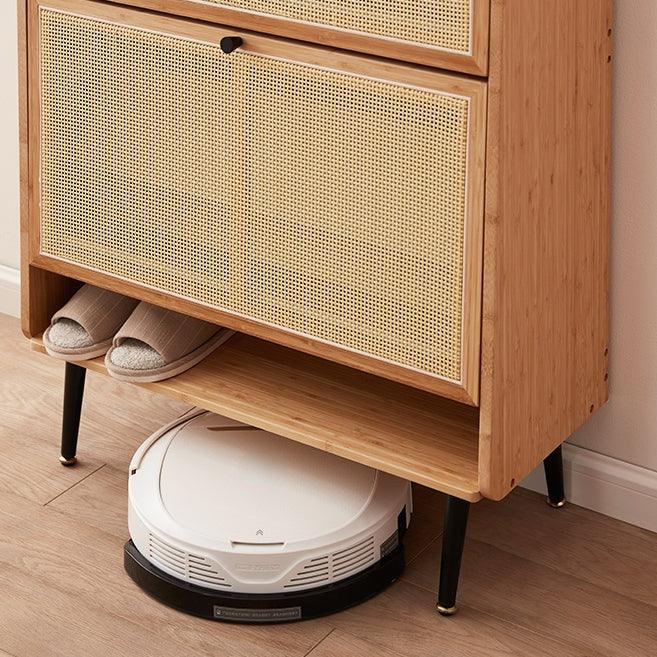 Francesco Shoe Storage Cabinet