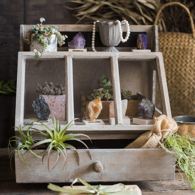 Franciszek Vintage Display Box