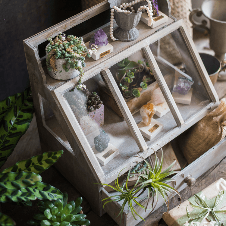Franciszek Vintage Display Box