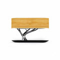 HomeTree Bluetooth Table Lamp